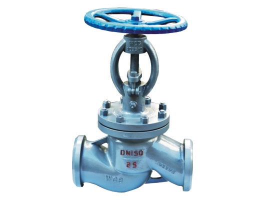 Water block globe valve